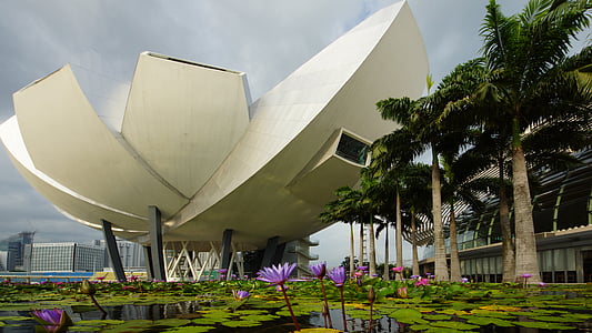 singapore, lotus flower, pond, landmark