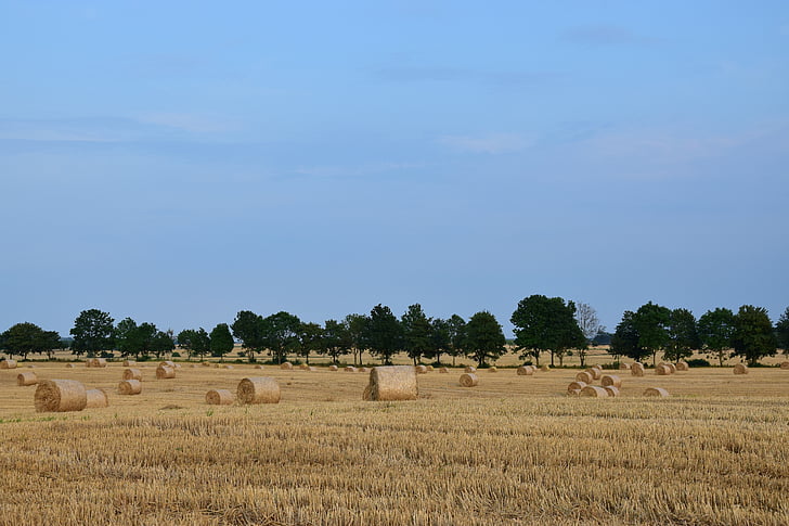 harvest, landscape, agriculture, straw, village, field, summer