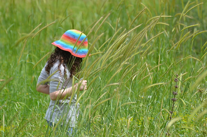 grass, girl, summer, meadow, kid, cheerful, relax