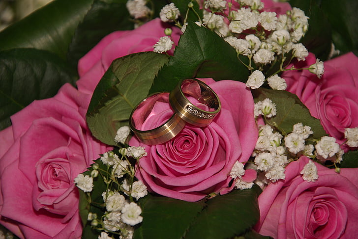 steg, rosa, anlegget, bryllup, kjærlighet, rose - blomster, bukett