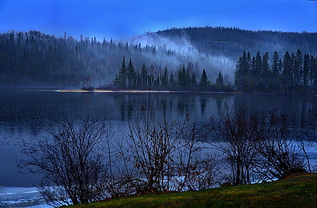 пейзаж, природата, планински, дървета, мъгла, дървен материал, езеро