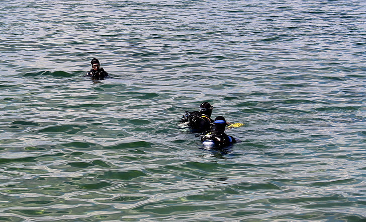 divers, diver group, testing, descend before, lake, lake constance, switzerland