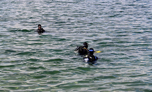 penyelam, kelompok Diver, pengujian, turun sebelum, Danau, Danau constance, Swiss