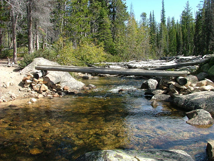 Stream, Lake, Bridge, Crossing, Mountain, Vaellus, Metsä