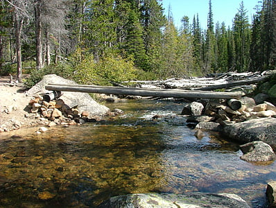 stream, lake, bridge, crossing, mountain, hike, forest