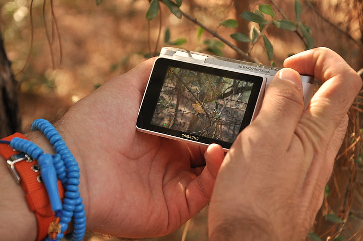 cámara, Cámara digital, fotoğrafçılığı Doğa, manos, Samsung, pantalla, naturaleza