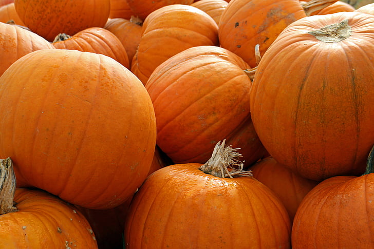 abóboras, Outono, Outubro, colheita, produtos hortícolas, laranja, colorido