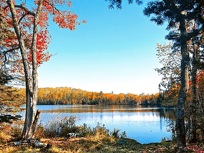 herfst, water, Lake, wildernis, sereniteit, vrede, landschap