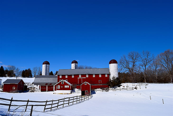 Farm, sne, silo, stald, hegnet, træ, vinter