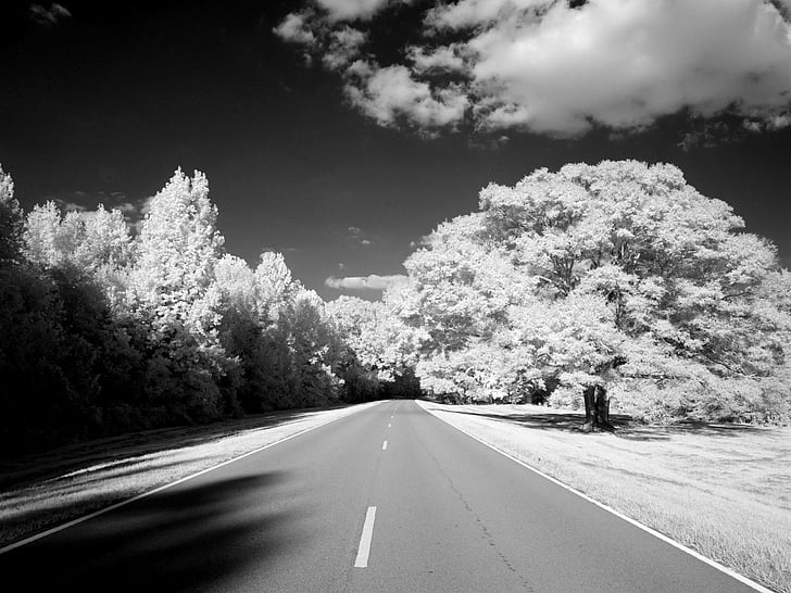 natchez trace parkway, mississippi, tennessee, road, infra red, united states, usa