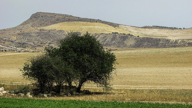 cyprus, kelia, landscape, trees, fields, nature, rural Scene