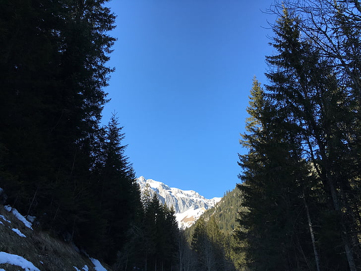 Mountain, Sky, modrá, Príroda, vysoká Hora, sneh, jedľa
