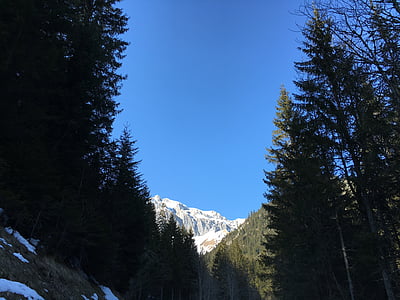 Mountain, Sky, blå, landskap, högt berg, snö, FIR