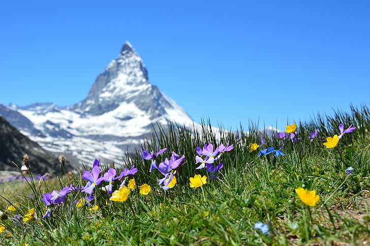 Matterhorn, Alpina, Zermatt, montanhas, Gornergrat, Valais, Suíça