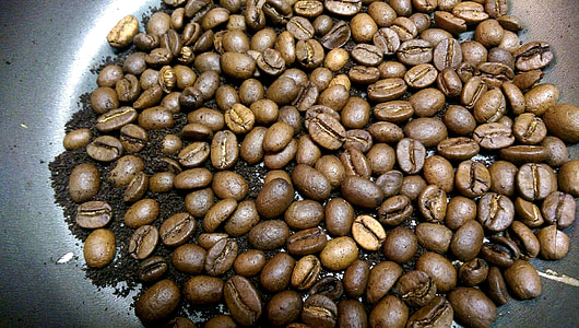 커피, 커피 콩, 코코아 콩, 초콜릿 콩, 초콜릿, 구이, 콩