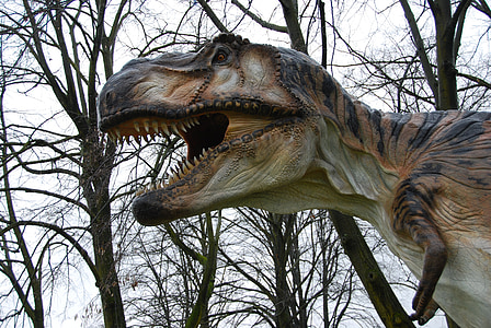 t-rex, ไดโนเสาร์, ฟัน, สวนมอนซา