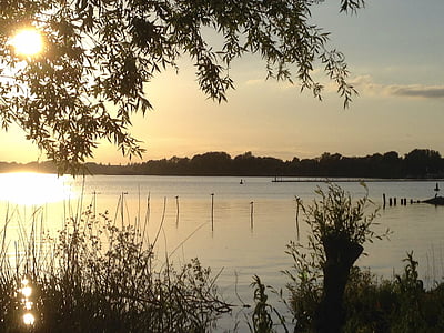 Müritz, Lac, eau, Mecklenburg, idyllique, paysage, soirée