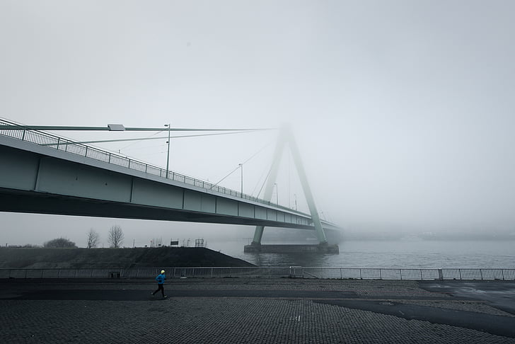 suspension bridge, modern, crossing, river, architecture, fog, mist