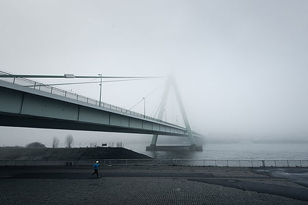 pont suspendu, moderne, traversant, rivière, architecture, brouillard, brume