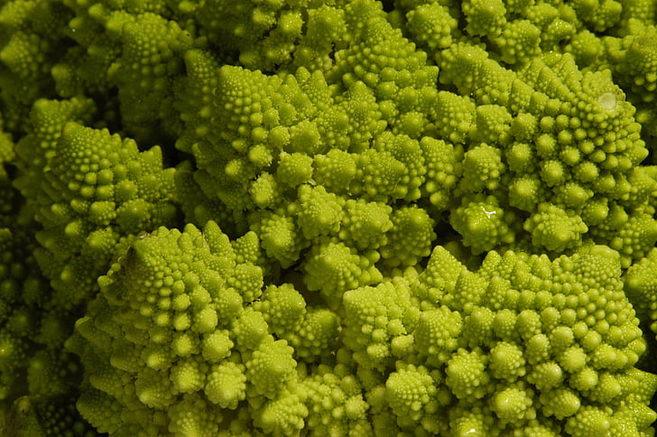 romanesco broccoli, green, roman cabbage, vegetables, cauliflower, fractal, natural phenomenon
