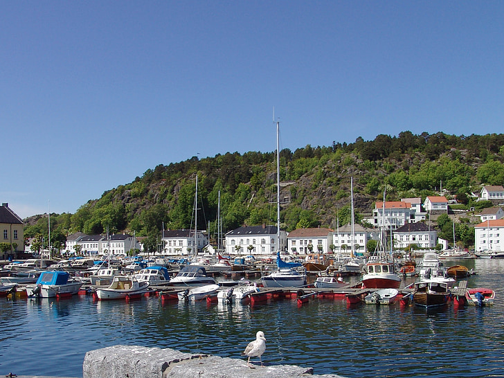 Norge, liten port, havet, mås, segelbåt, fiskebåt