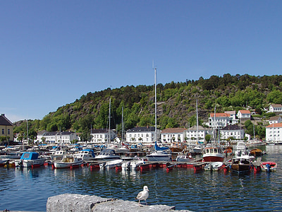Noruega, pequeño puerto, mar, Gaviota, barco de vela, barco de pesca