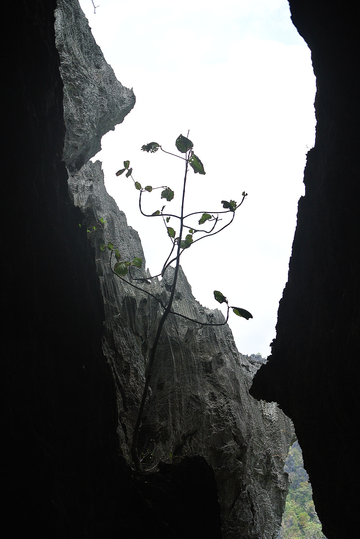 βράχια, σπήλαια, ασβεστόλιθος
