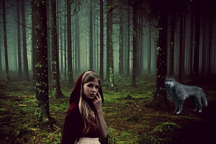Pige, eventyr, Rotkäppchen, Wolf, dyr, skov, Eventyret