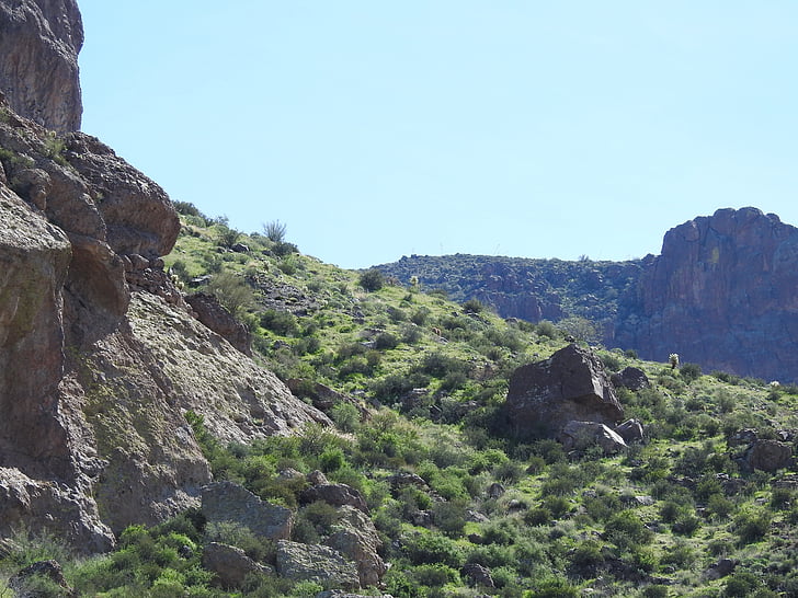 Arizona, Kaktus, Pustynia, Natura, góry, Rock - obiektu, krajobraz
