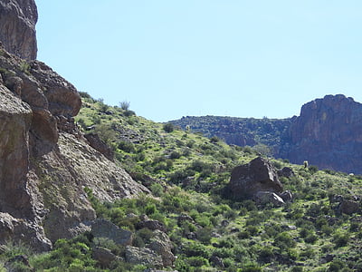 Arizona, cactus, desert de, natura, muntanya, Roca - objecte, paisatge
