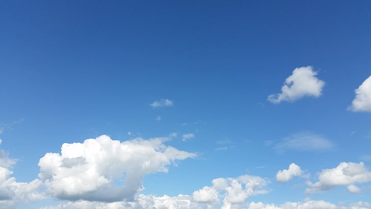 núvols, cel blau, l'estiu, secció, cel, blau, blanc