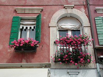 facade, flowers, building, flower boxes, window