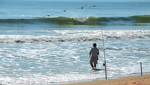 surf fisherman, fishing, surf, sport, fisherman, ocean, water