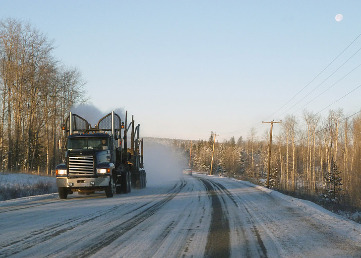 logistikos, medienos ruoša, sunkvežimis, transportas, sniegu, kelių, šaldymo
