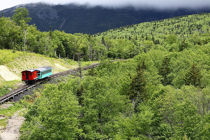 Railway, toget, tandhjul, Mountain, Hampshire, Woods, skov