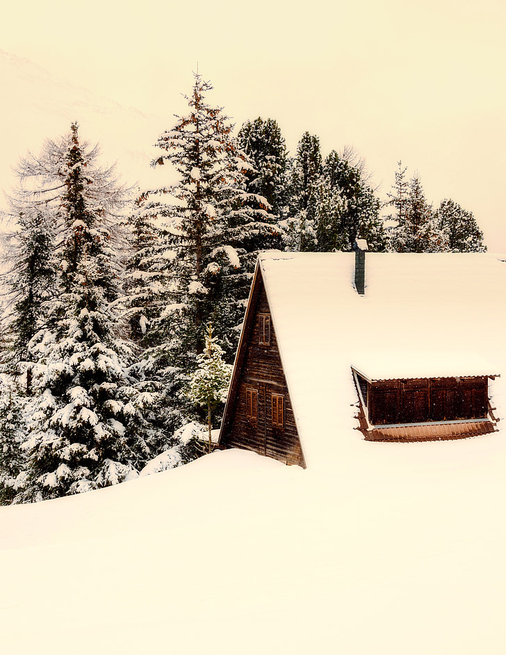 Italie, cabane en bois rond, Cottage, Page d’accueil, paysage, hiver, neige