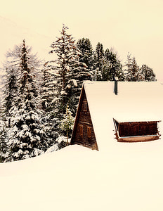 Italia, cabaña de troncos, casa de campo, Inicio, paisaje, invierno, nieve