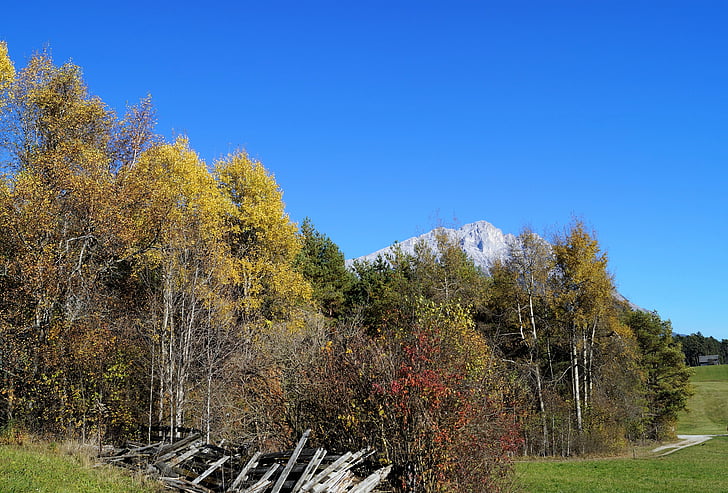 podzim, modrá obloha, strom, listy, kontrast, nebeská modř, krajina
