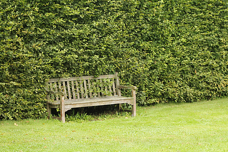 bench, nature, outdoor, summer, peaceful, outdoors, grass