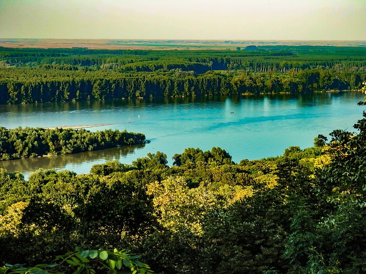 Danube, rivière, eau, scène, vert