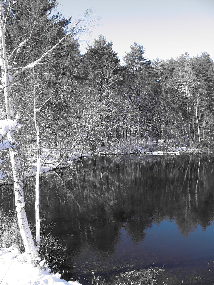 pond, snow, nature, winter, landscape, cold, white