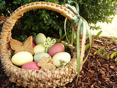 niu de Pasqua, ous de Pasqua, color, osterkorb, jardí, buscant la cistella de Pasqua, galetes