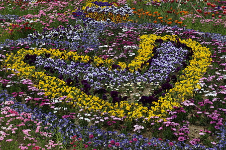 çiçekler, Park, Bahar