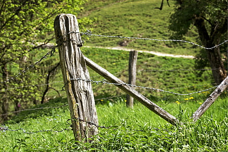 Bài viết, hàng rào đồng cỏ, hàng rào, phân giới cắm mốc, cũ, dây điện, cọc
