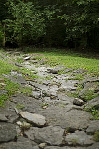 camino de piedra, naturaleza, piedra, Ruta de acceso, verde, natural, Pasarela