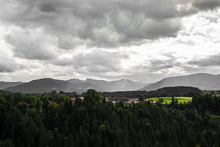 Alpine, nubes, otoño, bosque, Prado, del pasto, granja