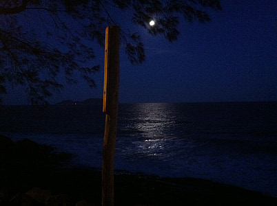 clair de lune, océan, nuit, mer, nature, eau, luminosité