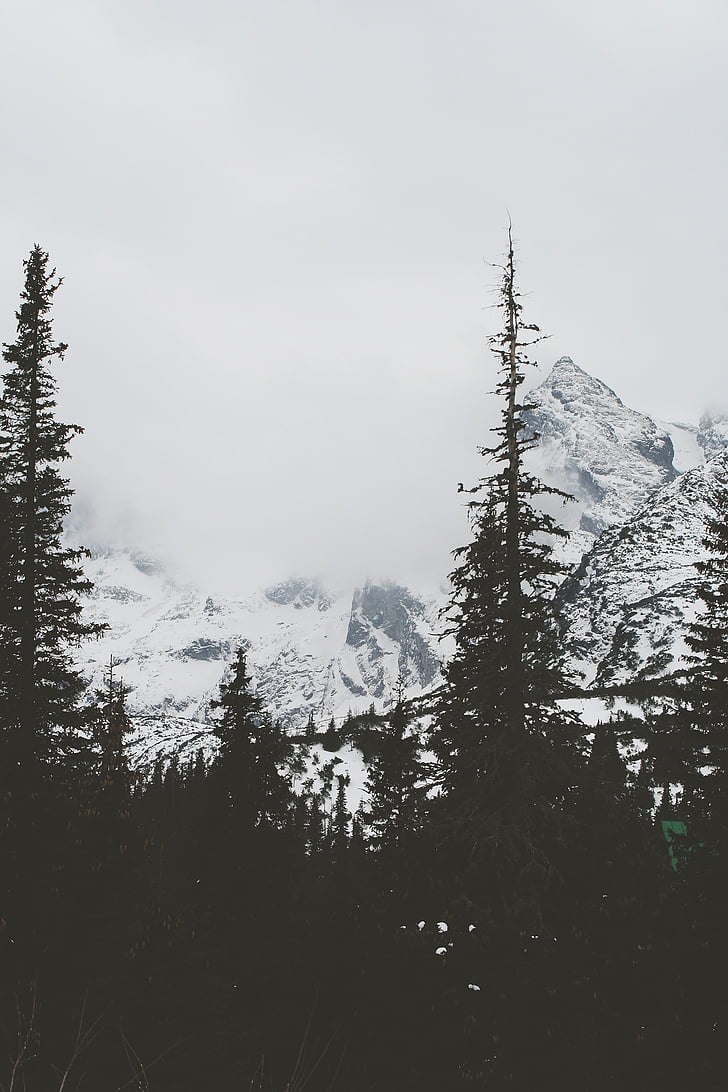 снимка, гора, снежна, планини, сив, небе, мъгла