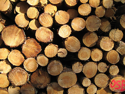 wood, nature, durable, logging, wood - Material, lumber Industry, tree