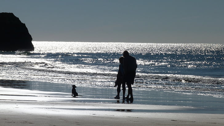 ocean, beach, water, back light, silhouette, human, dog